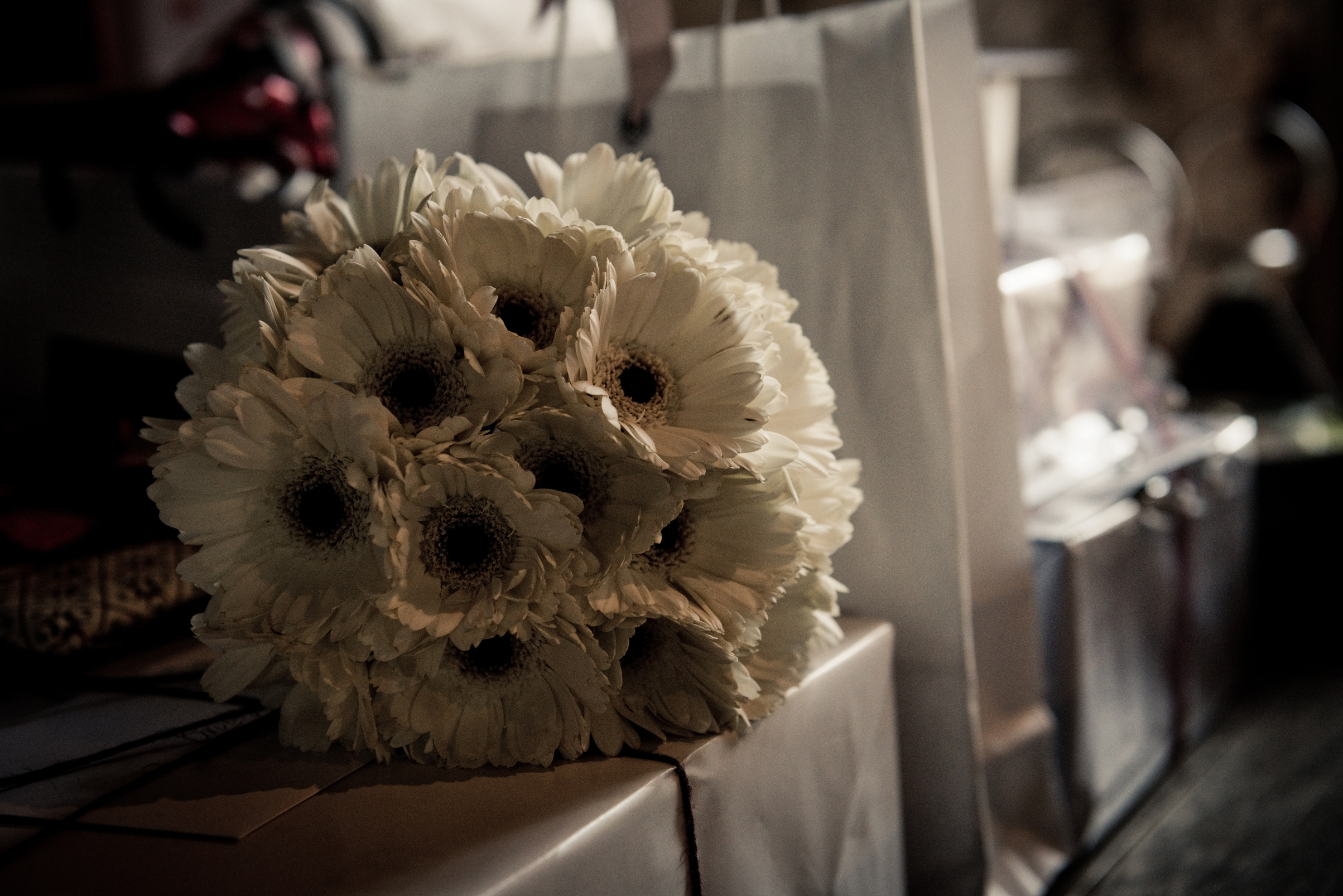 White Daisy Flowers